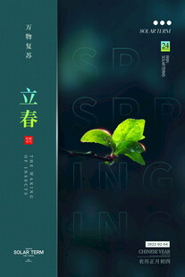 立春时节绿叶清新插画