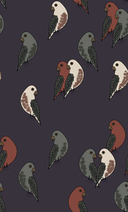 多彩小鸟图案背景纹理