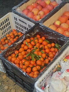 新鲜多彩水果堆放在筐中