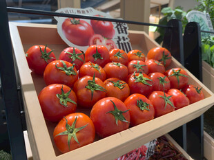 木盒中的新鲜红番茄