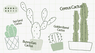 手绘多肉仙人掌植物插画