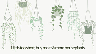 悬挂绿植装饰清新自然风