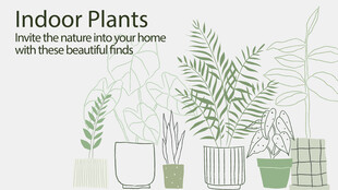 室内绿植装点居家空间