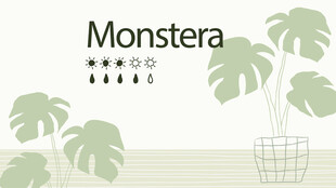 龟背竹装饰图案设计