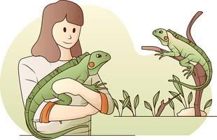 女孩与蜥蜴的温馨互动