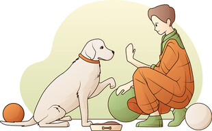 男孩与白狗温馨互动场景