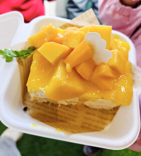 美味芒果蛋糕