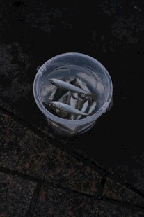 透明杯中的银色物件