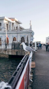 海滨码头景色