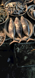 金属质感鱼形装饰摆件