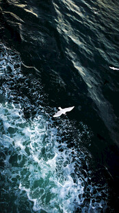 海上冲浪者激起白色浪花