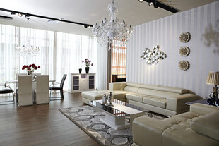 现代简约风豪华客厅展示