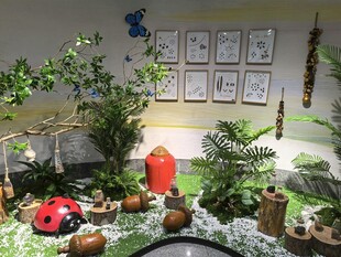 室内微缩绿植景观世界