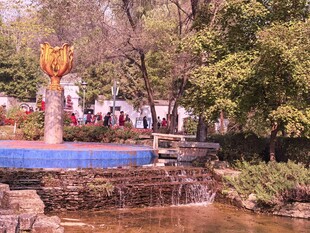 公园中的喷泉与流水景观