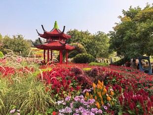 花园中的中式凉亭美景