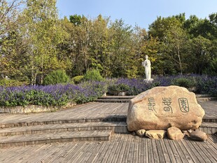 公园景致中的刻字巨石