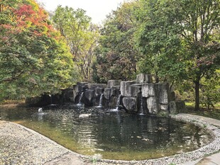 山林中的静谧小瀑布景观