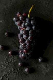 紫葡萄特写