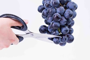 一串紫葡萄
