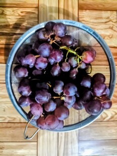 碗中紫葡萄