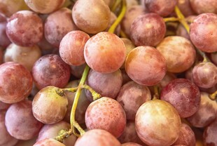 紫红色葡萄特写