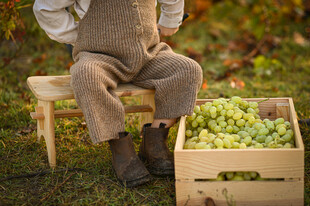 小孩坐凳旁与一箱葡萄