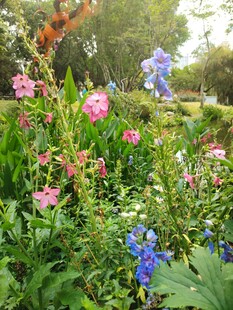 缤纷花丛中的美丽景致