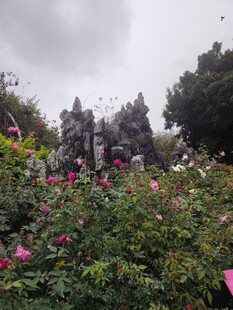 花丛中的神秘石制建筑