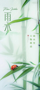 竹叶上的红瓢虫