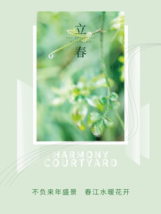 绿叶上的蜻蜓特写