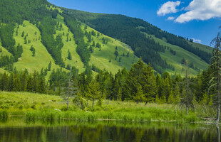 青山绿水间的静谧湖泊
