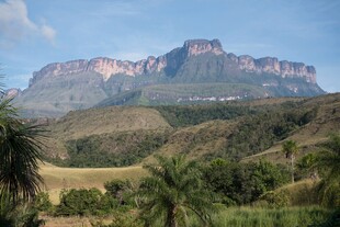 壮丽山峦与绿植景观