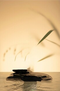 禅意水景中的静谧黑石