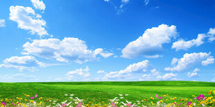 蓝天白云绿草地