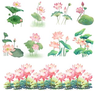 免扣水彩荷花