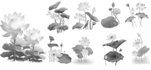 水墨风荷花荷叶插画素材