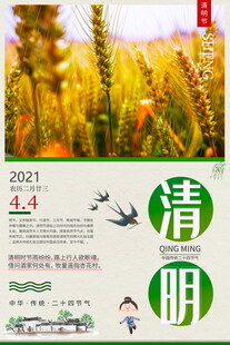 清明时节麦田风光