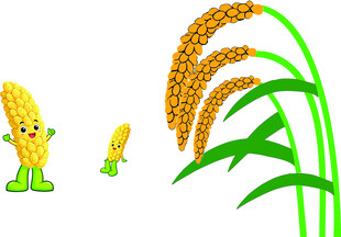 可爱玉米与麦穗插画