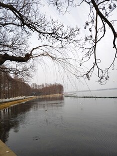 湖畔冬景