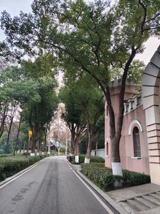 林荫街道欧式建筑