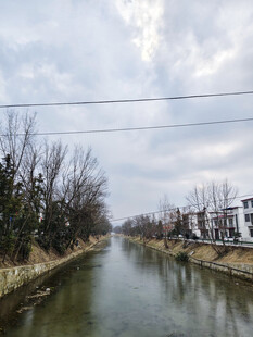 乡村河道风景