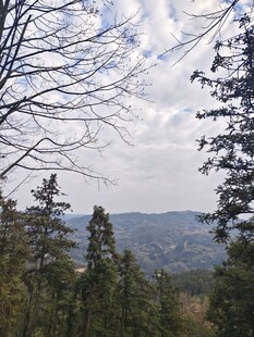 山林间的开阔景致