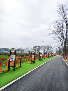 户外绿色步道景观