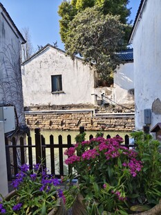 苏州河边景致  繁花相伴