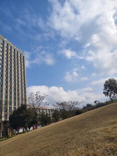 高楼旁的开阔草地与蓝天