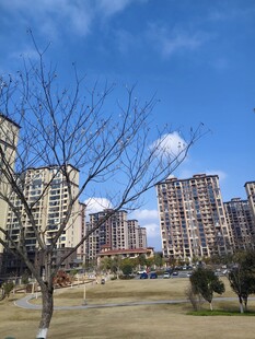 城市住宅区风景