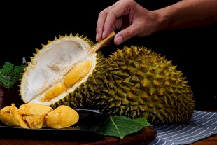 剥开的榴莲果肉诱人时刻