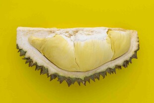 黄色背景下的新鲜榴莲果肉