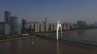 城市河畔跨江大桥景观