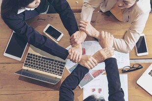 团队齐心协作共创未来